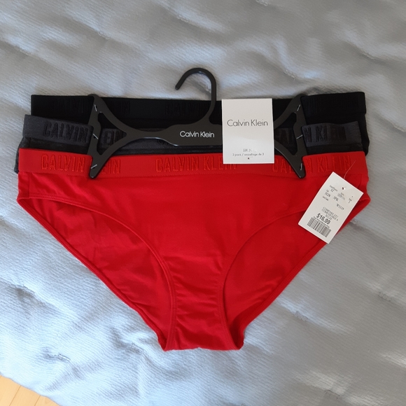 Calvin Klein Other - Calvin Klein  bikini underwear